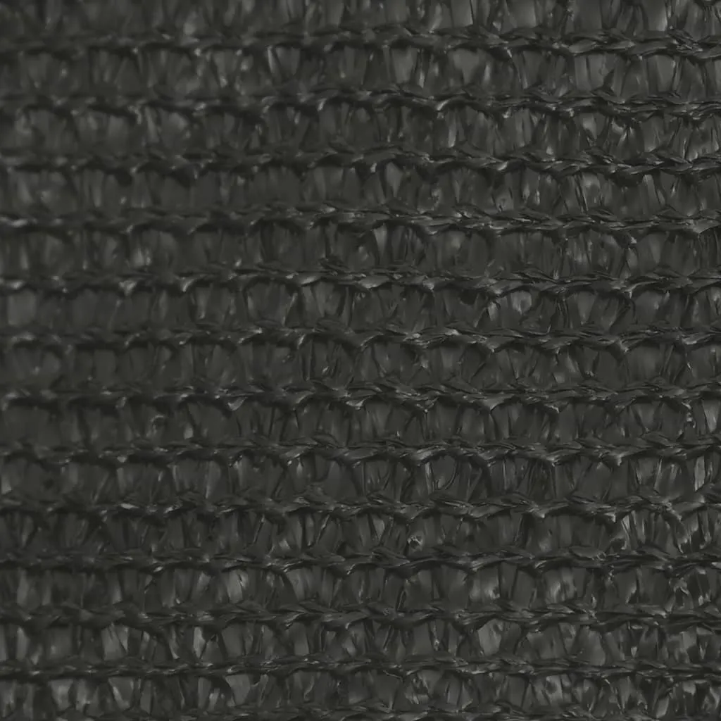 Sunshade Sail 160 g/m² Anthracite 3.5x5 m HDPE